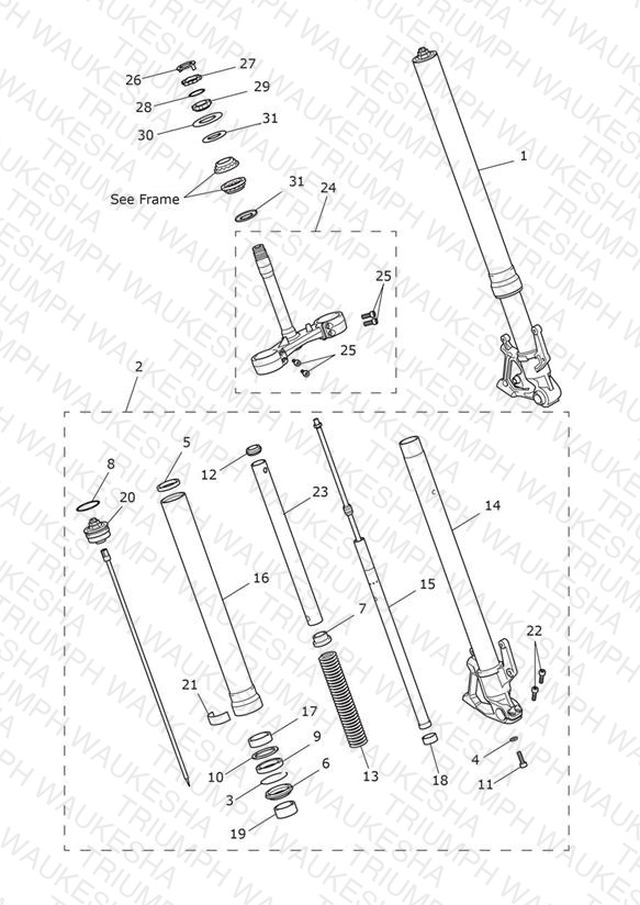 Front Forks & Lower Yoke Assy
