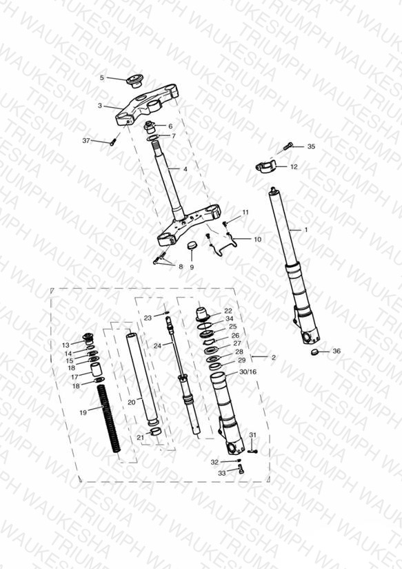 Front Forks and Yokes