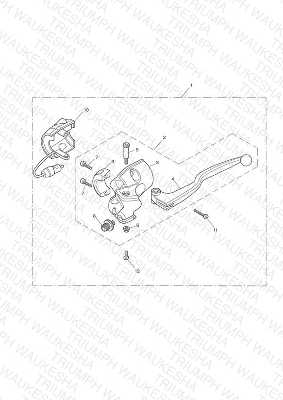 Clutch Controls and Switches - Bonneville T100