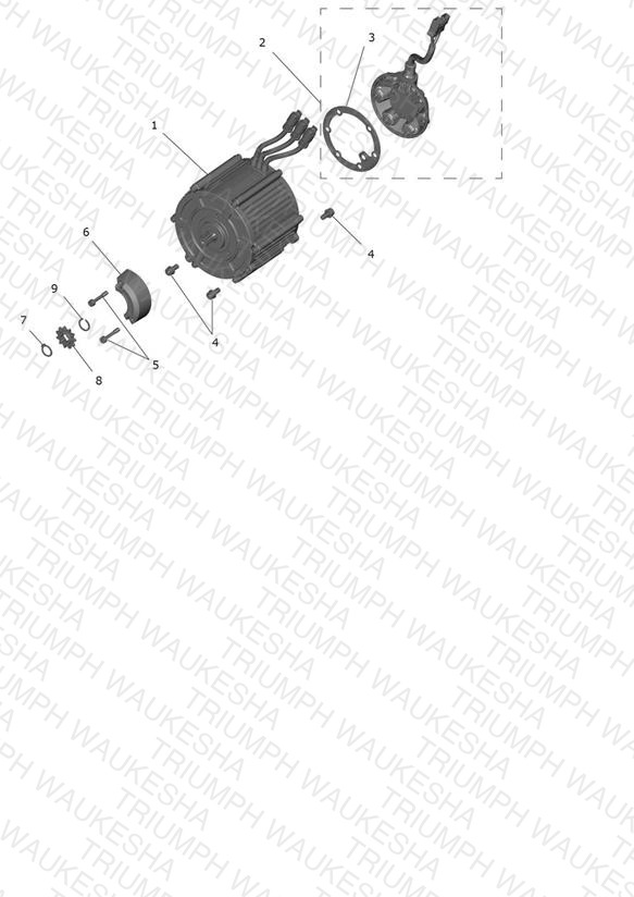 Motor