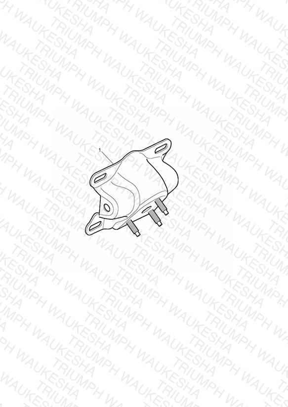 Number Plate Bracket, Chrome