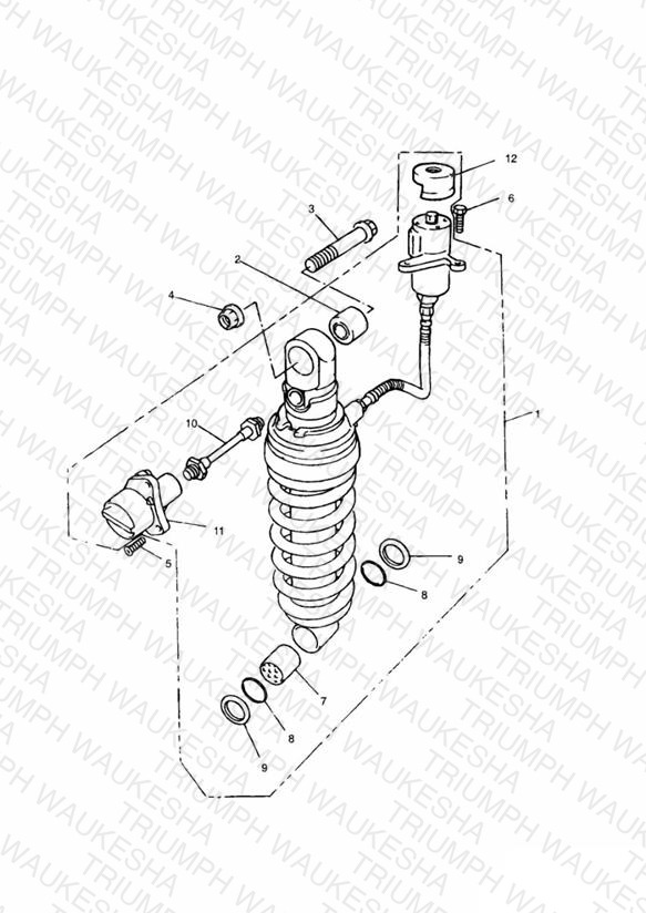 Rear Suspension Unit