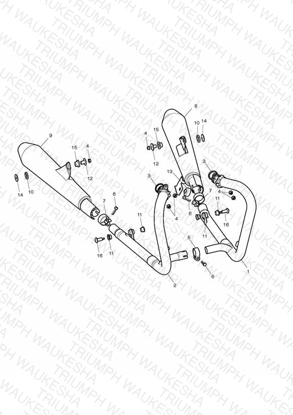 Exhaust System