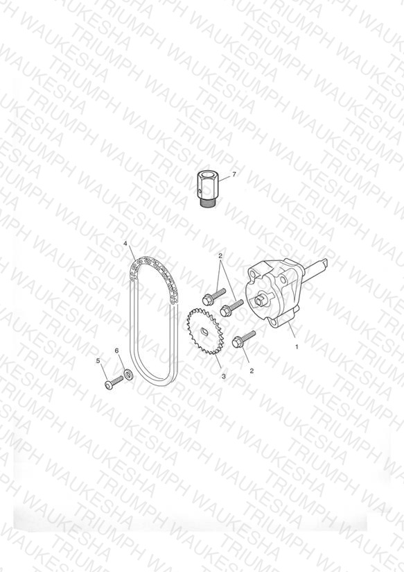 Oil Pump & Drive