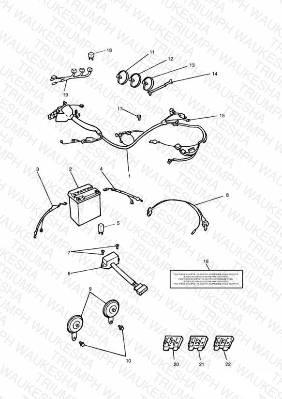 Electrical Fittings & Main Harness