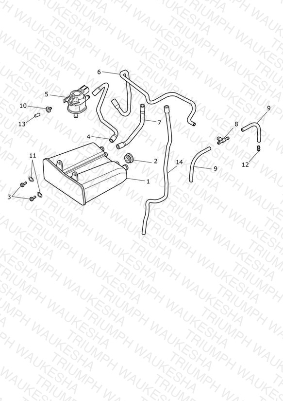 Evap System