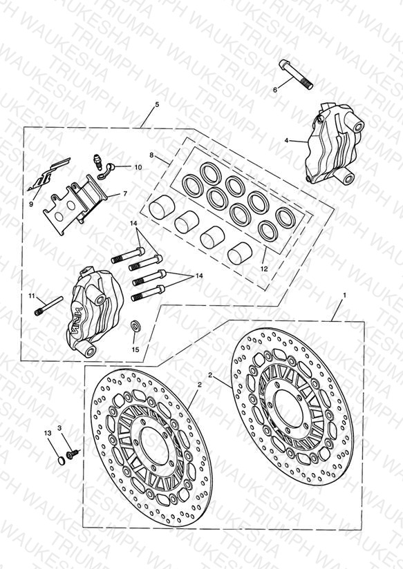 Front Brake Caliper & Discs