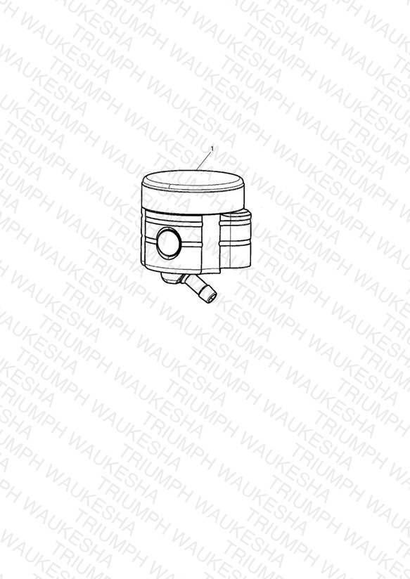 Front Brake Reservoir, Type 2