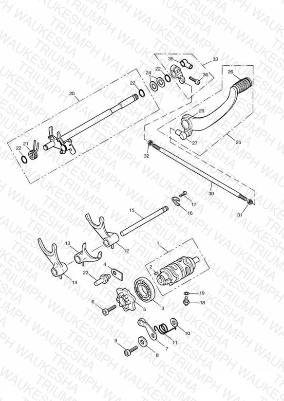 Gear Selector & Pedal