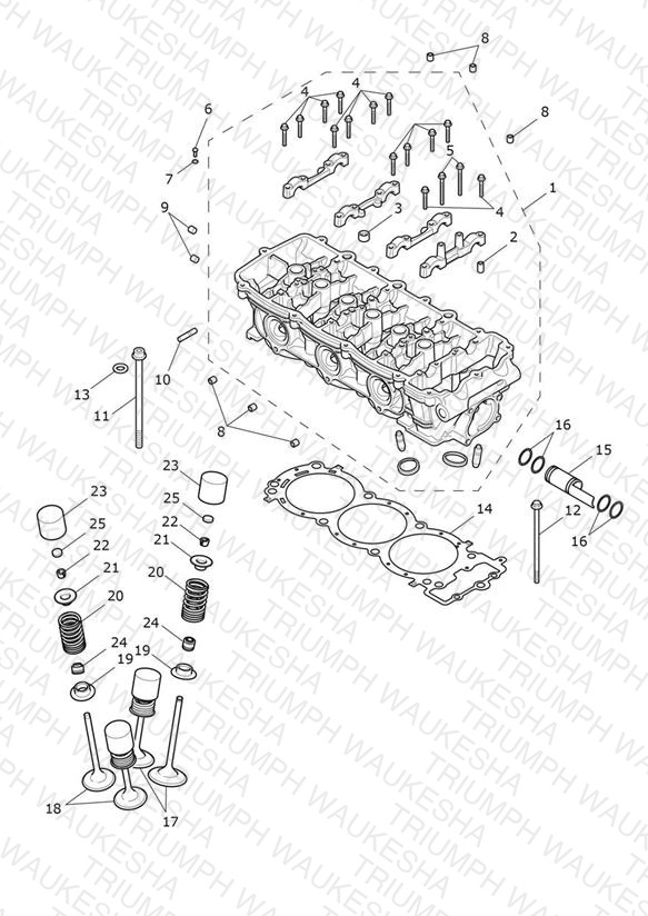 Cylinder Head & Valves