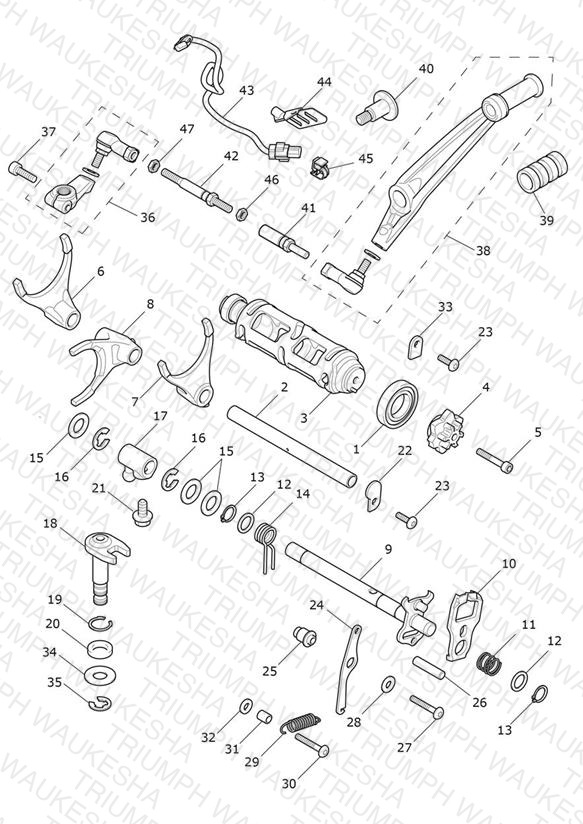Gear Selectors & Pedal