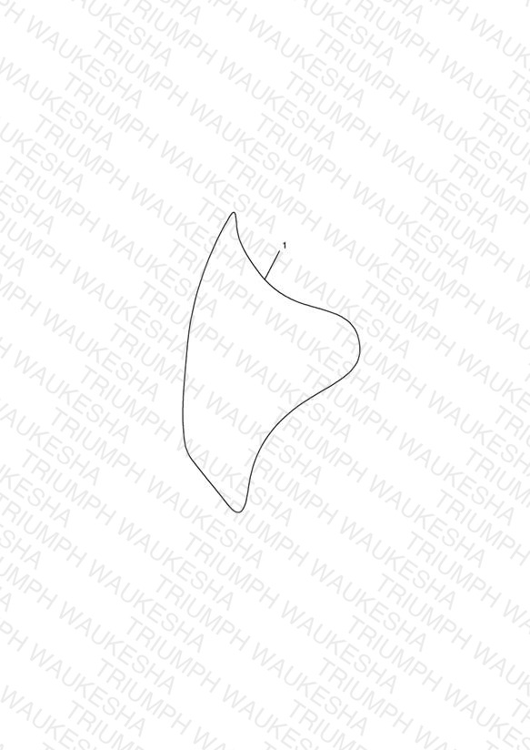 Tank Pad, Carbon Fibre