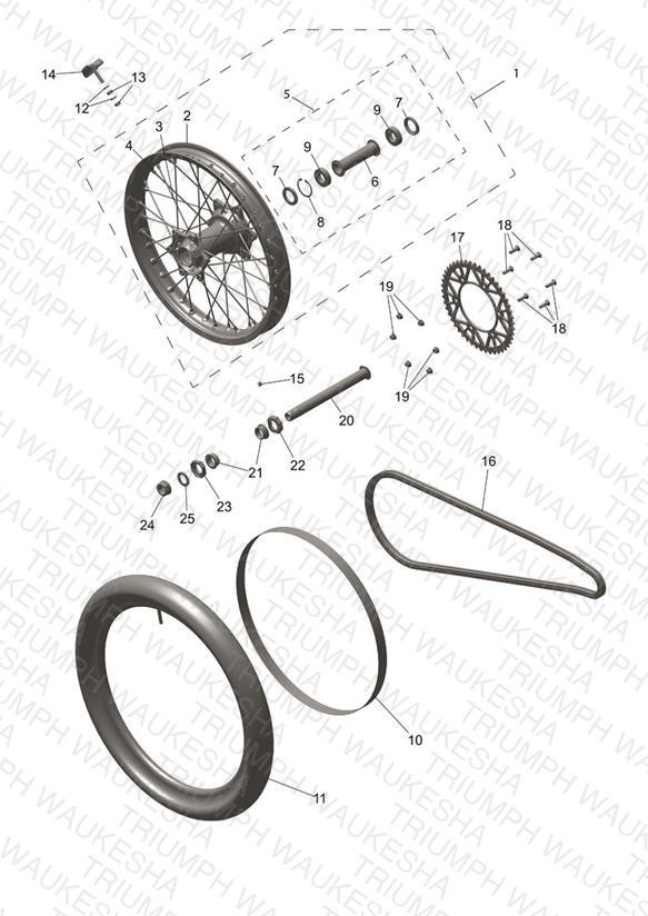 Rear Wheel