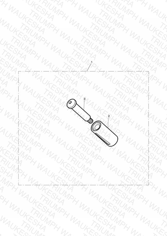 ’Chrome Line’ Shifter Peg
