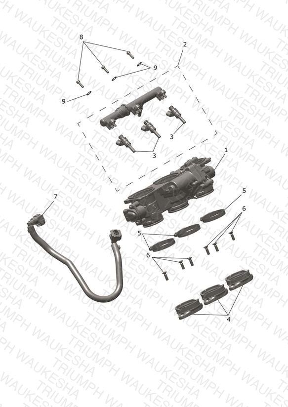 Throttles, Injectors and Fuel Rail
