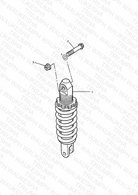 Rear Suspension Unit