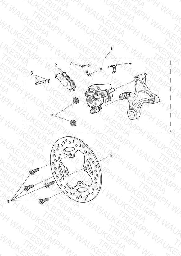 Rear Brake & Disc