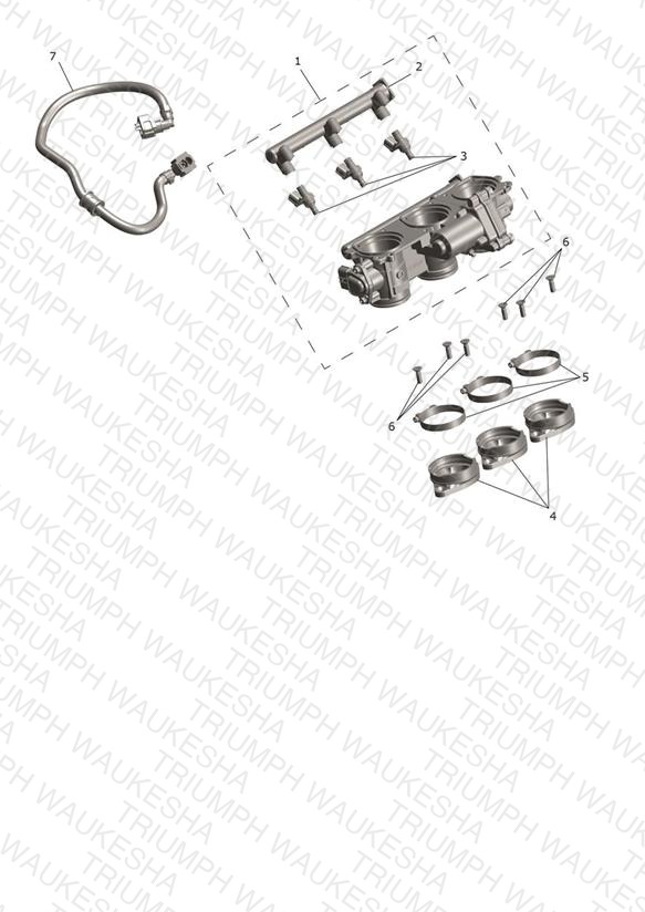 Throttle Bodies