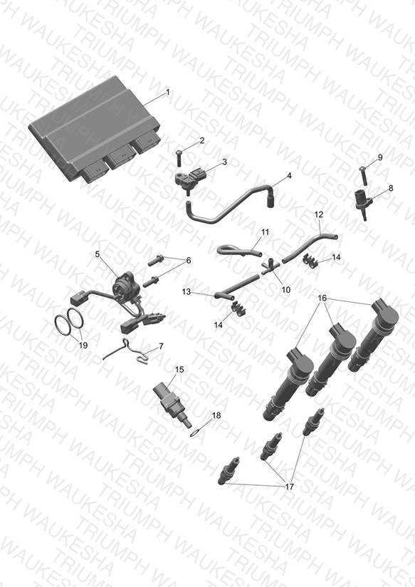 Engine Management