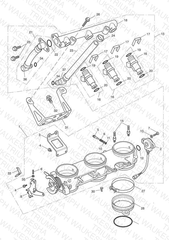 Throttles/Injectors and Fuel Rail > 207554