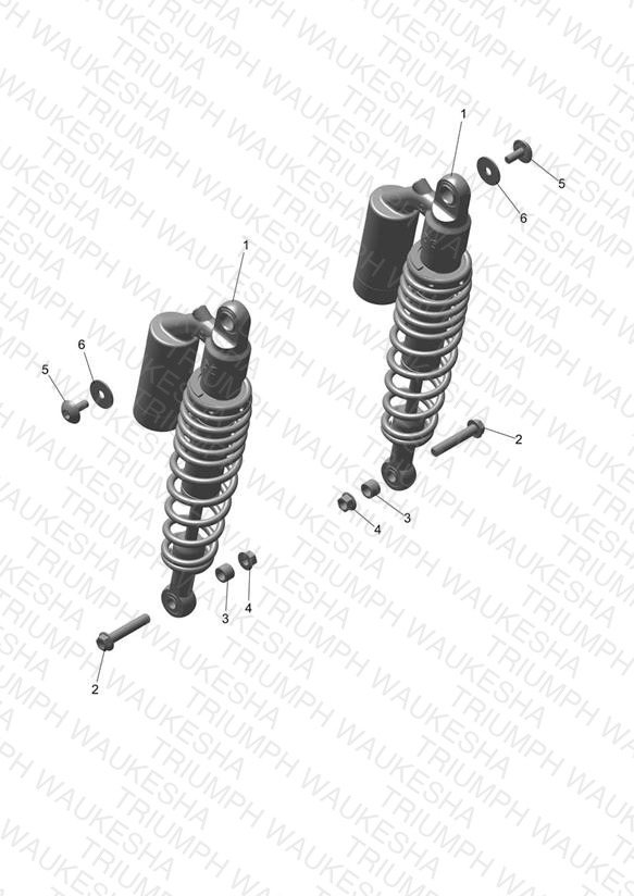 Rear Suspension Unit