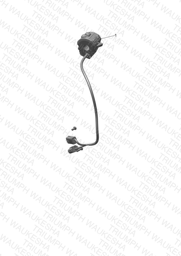 Cruise Control Kit, Non DRL