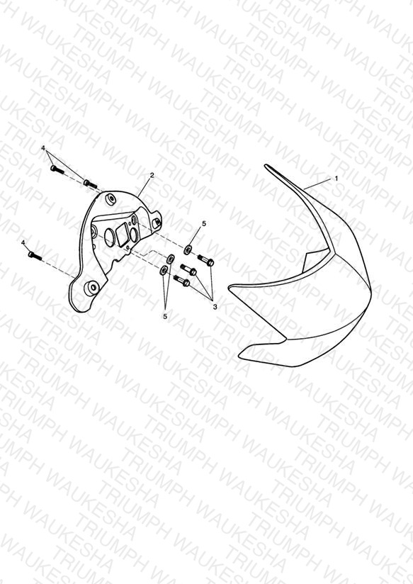 Flyscreen - Special Editions
