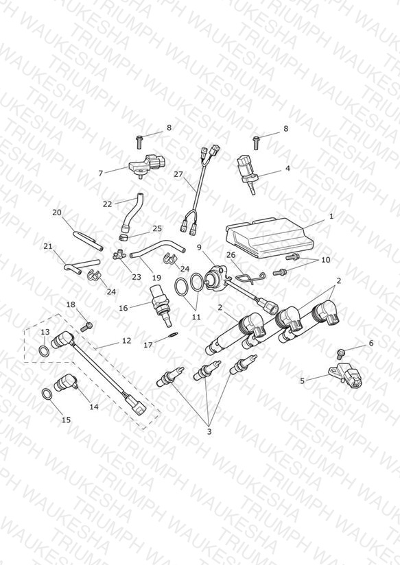 Engine Management System