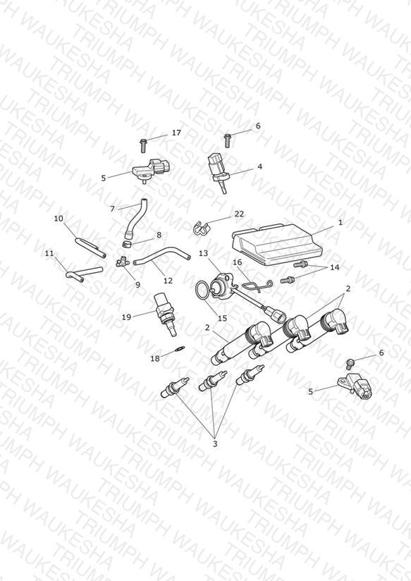 Engine Management System