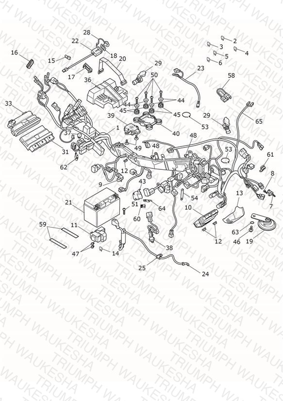 Electrical System