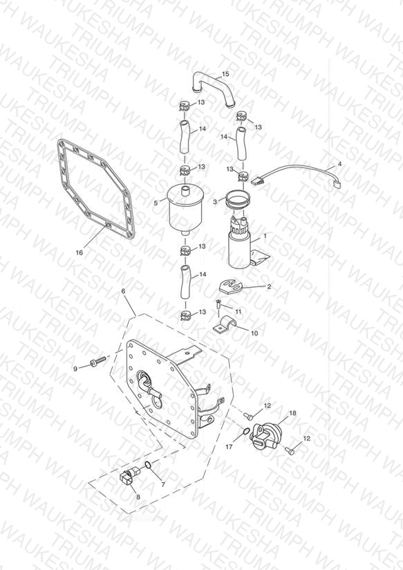 Fuel Pump and Filter 207555 >