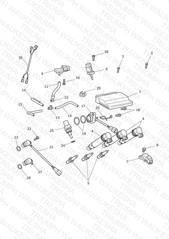 Engine Management System