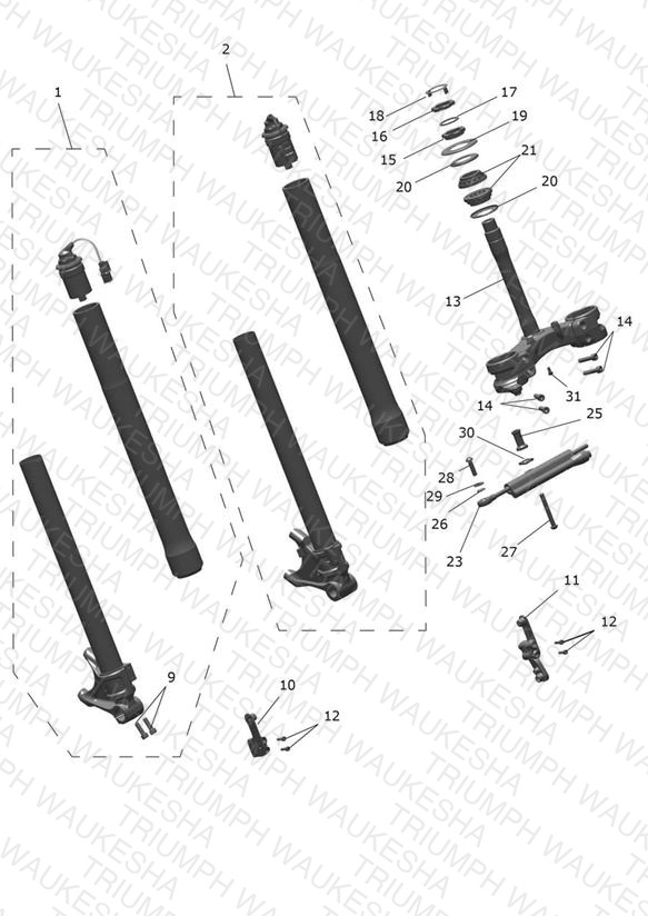 Front Forks & Lower Yoke