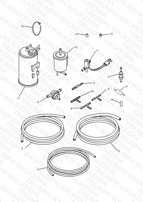 Evaporative Loss Equipment 3 Cyl (US California Models Only)