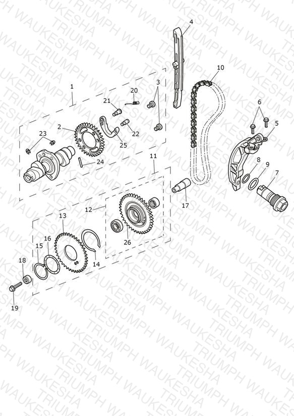 Camshaft & Camshaft Drive