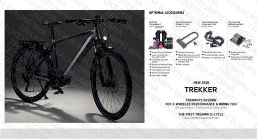 Trekker E-Bike
