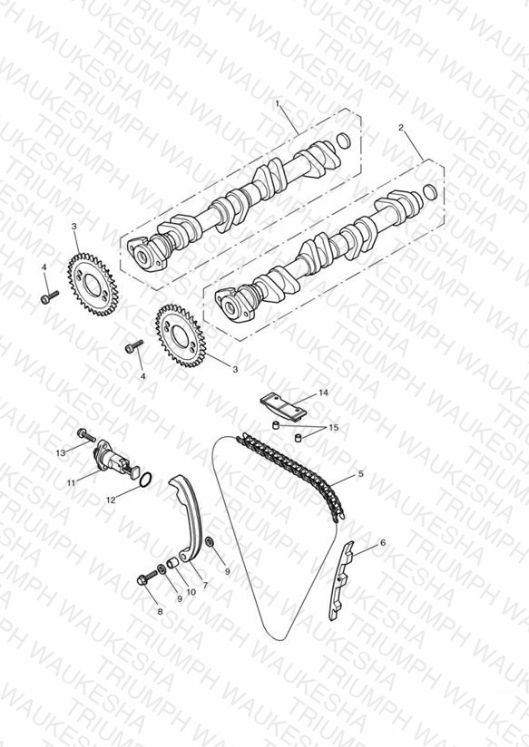 Camshaft and Drive