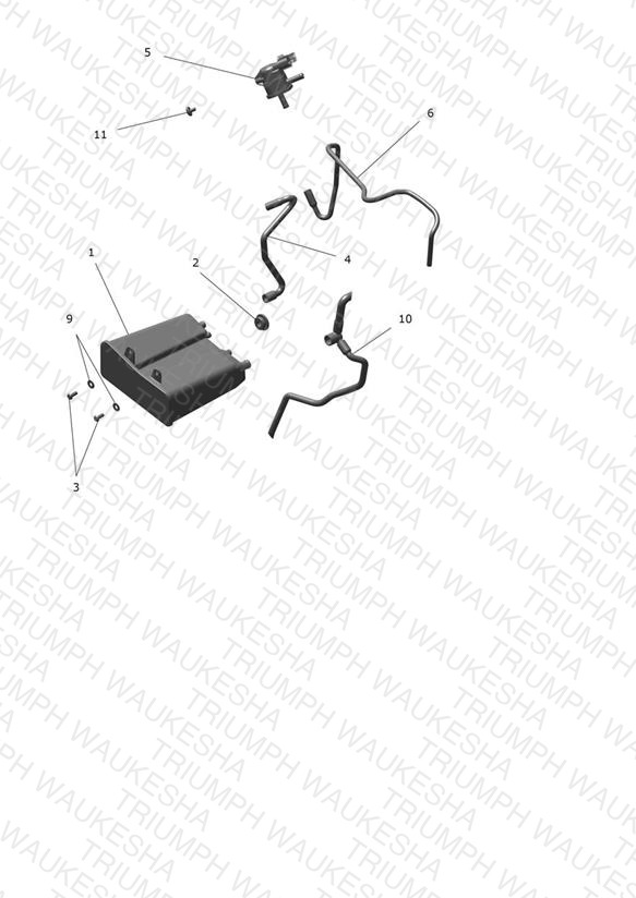 Evap System