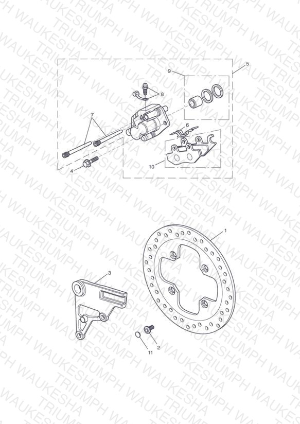 Rear Brake & Disc