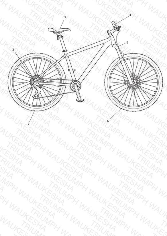 XCX 19"