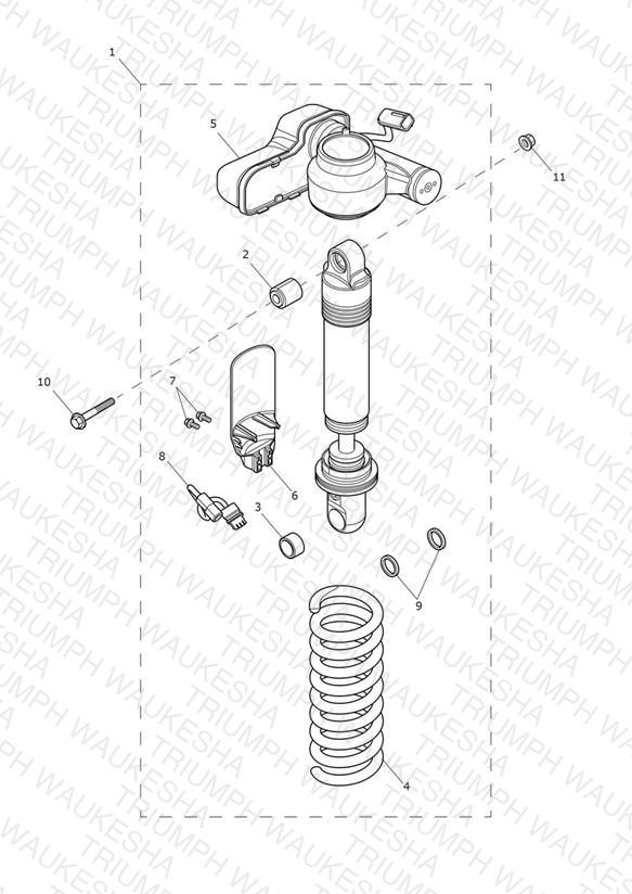 Rear Suspension Unit
