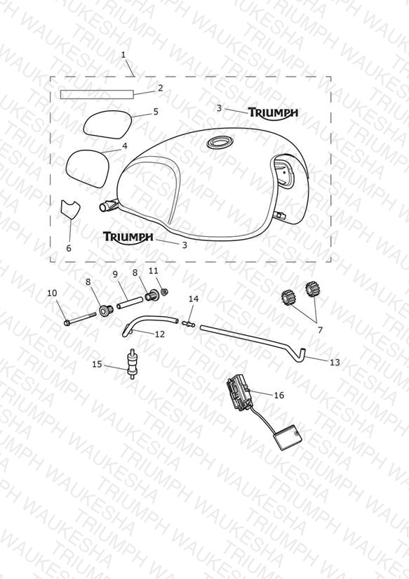 Fuel Tank - Goldline Edition