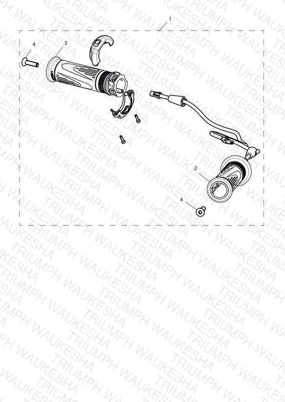 Heated Grip Kit