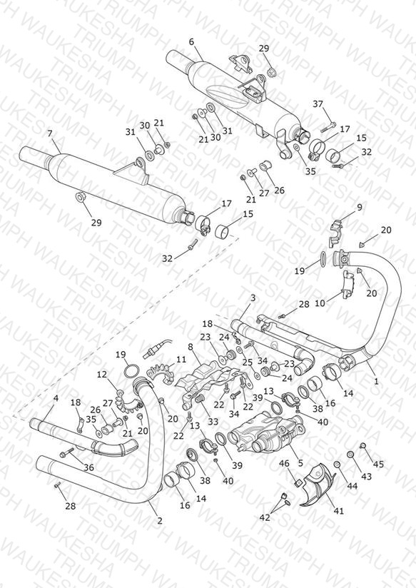 Exhaust System