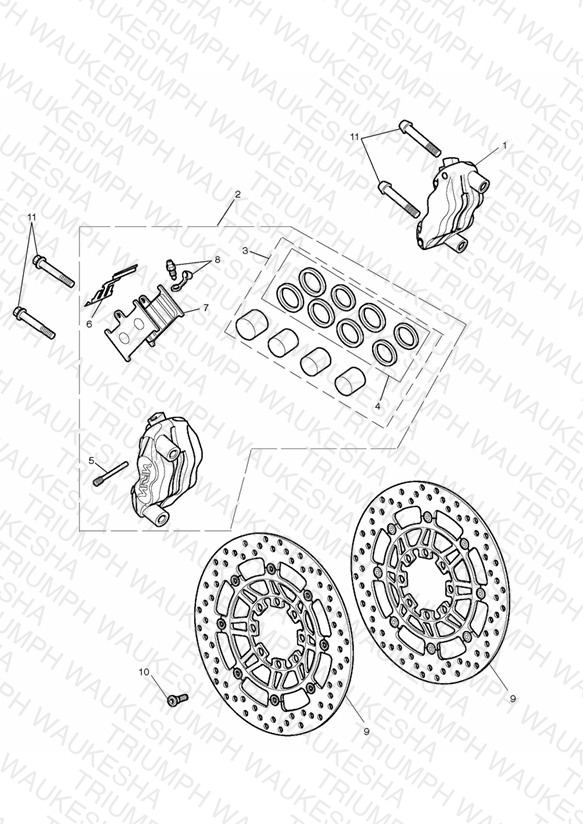 Front Brake Caliper & Discs