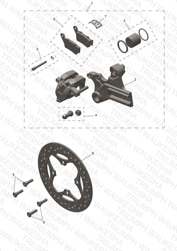 Rear Caliper & Disc