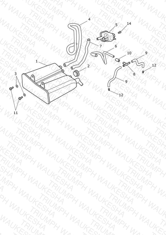 Evap System