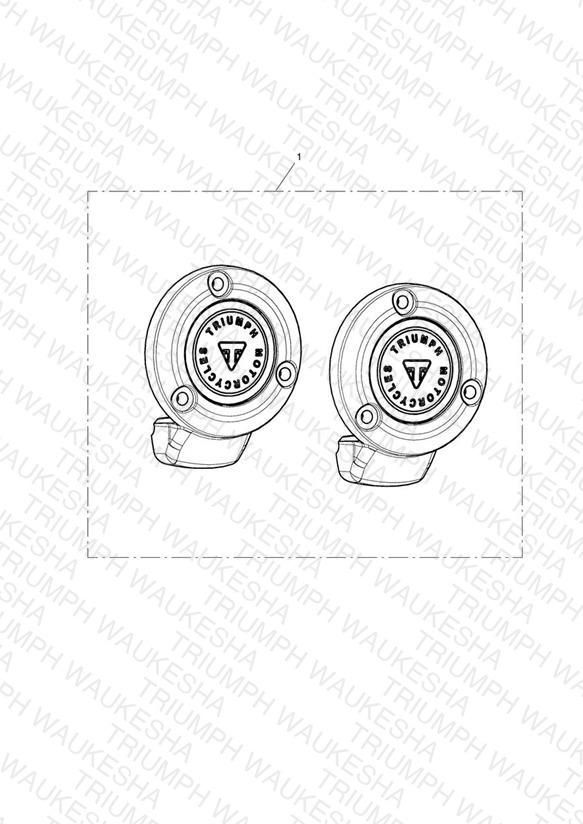 TPS Cover, Chrome