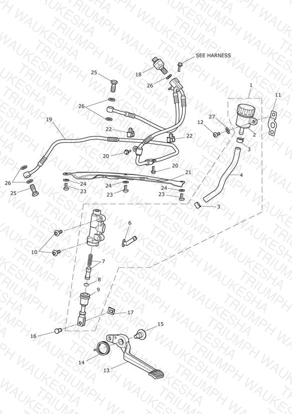 Rear Brake Master Cylinder, Reservoir & Pedal
