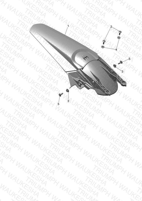 Rear Mudguard